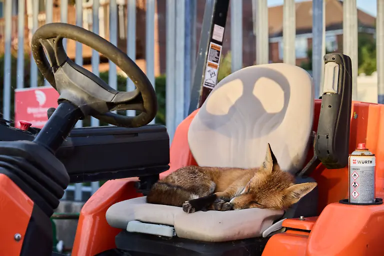 LowRes-WINNER-BWPA-2026-Asleep at the Wheel